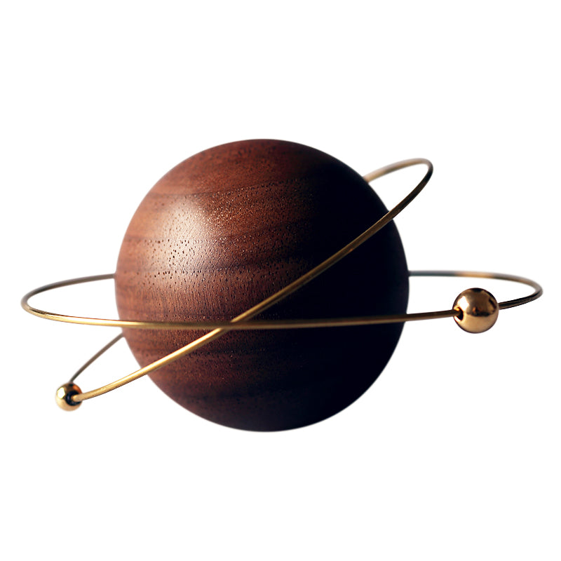 Asteroid Wood Diffuser Set